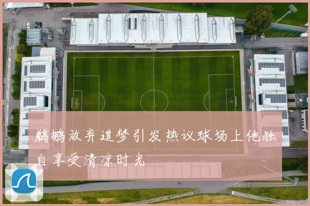 鹈鹕放弃追梦引发热议球场上他独自享受清凉时光