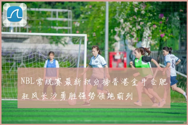 NBL常规赛最新积分榜香港金牛合肥狂风长沙勇胜强势领跑前列